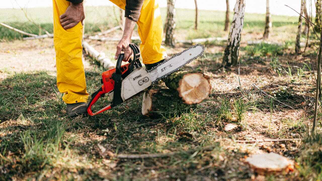 Best Tree Pruning Services  in Fort Leonard Wood, MO